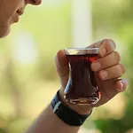 Rega Antalya