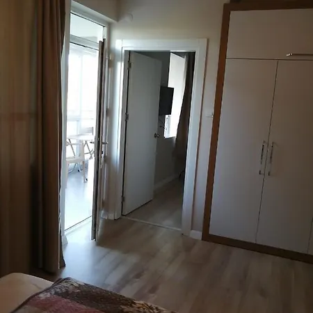 Rega 4*